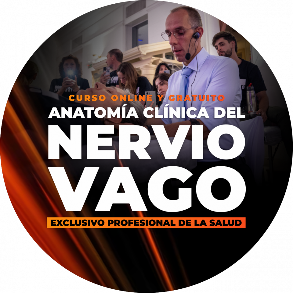 Anatomía Clínica del Nervio Vago